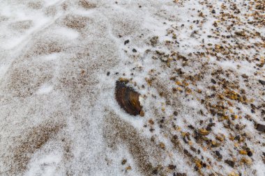 Vahşi bir nehir kıyısındaki soyut kum tepecikleri, taze kar tozuyla kaplı.