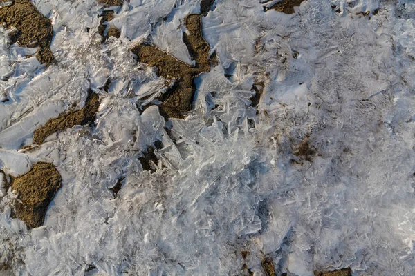 Soğuk Bir Kış Sabahı Vahşi Bir Nehir Kıyısında Kar Donla — Stok fotoğraf