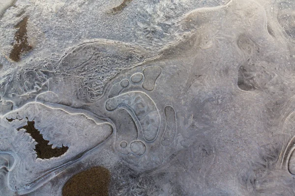 Journée Froide Hiver Matinale Bord Une Rivière Sauvage Avec Givre — Photo