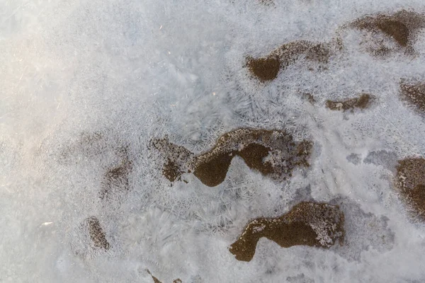 Kalter Wintermorgen Einem Wilden Flussufer Mit Frost Und Schnee — Stockfoto