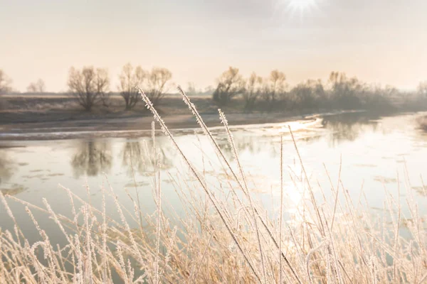 Kalter Wintermorgen Einem Wilden Flussufer Mit Frost Und Schnee Stockbild