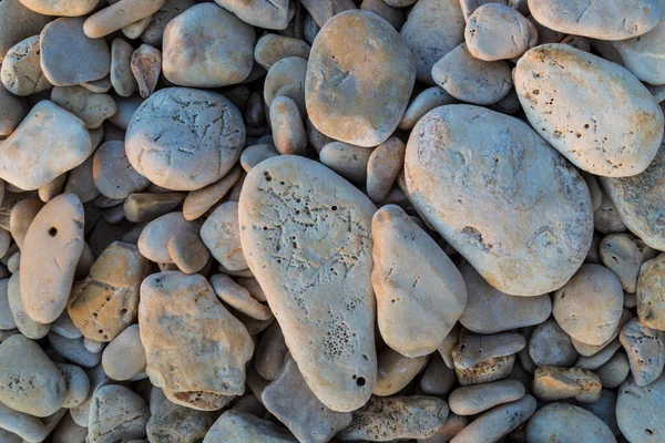 Rock Formations Adriatic Sea Summer Warm Evening Light — Stock Photo, Image