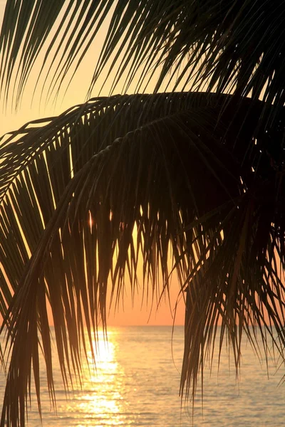 Sunset in Jamaica. Caribbean sea. — Stock Photo, Image