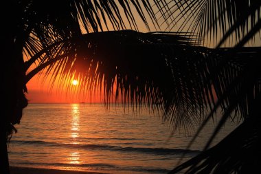 Jamaika gün batımı. Karayip Denizi.