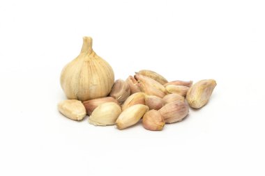 Gralic beyaz arkaplanda izole edildi