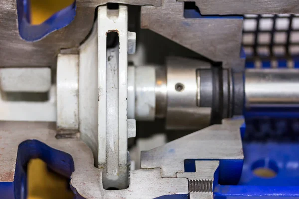 Endüstriyel sanayi için enine kesit ayrıntı iticisini ve merkezkaç pompasını kapat