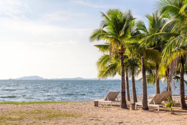 Hindistan cevizi ağacı ve sahilde plaj sandalyesi ve tatilde mavi gökyüzü.