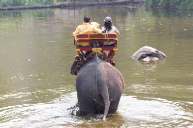 Lampang Tayland 12 Nisan 2018: Tayland fil Koruma Merkezi - Etkinlikler fil banyo fil banyo doğal olarak, soğutma için bir fil banyo gibi
