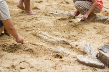 Öğrenme hakkında Dinozor fosilleri simülasyon parkta kazı çocuk. 