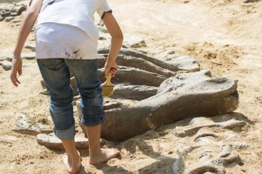 Geçmiş dinozor, Excavating dinozor fosilleri simülasyon parkta çocuklar öğrenme.