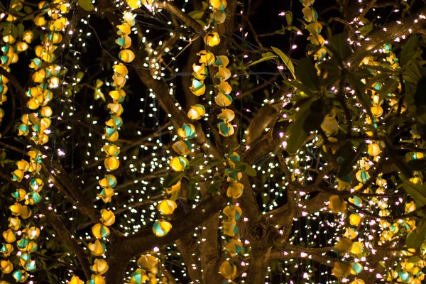 Bokeh Decorative Luci Stringa All Aperto Appeso Albero Giardino Notte — Foto Stock