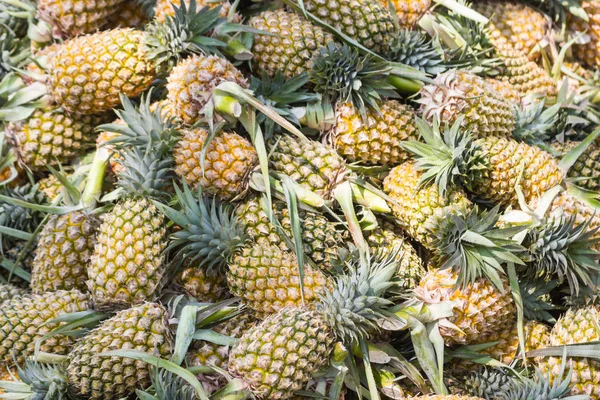 Closeup Veel Ananas Markt Vóór Verkoop Bangkok Thailand — Stockfoto