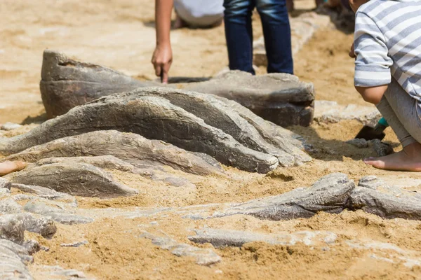 Geçmiş dinozor, Excavating dinozor fosilleri simülasyon parkta çocuklar öğrenme.