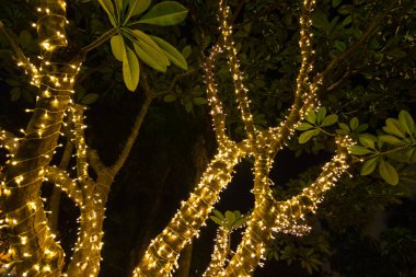 Decorative outdoor string lights hanging on tree in the garden at night time - decorative christmas lights - happy new year  clipart