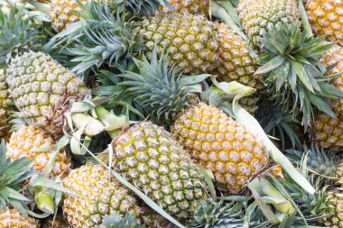 Satılık Tayland Bangkok önce piyasada ananas closeup çok