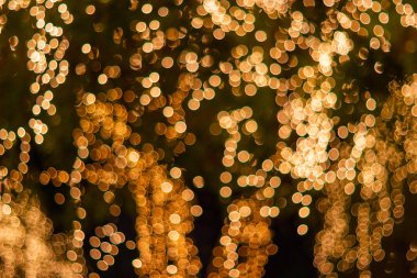 -Bokeh - dekoratif açık dize ışıklar gece saat - dekoratif Noel ışıkları - mutlu yıllar, bahçedeki ağaç üzerinde asılı bulanıklık 