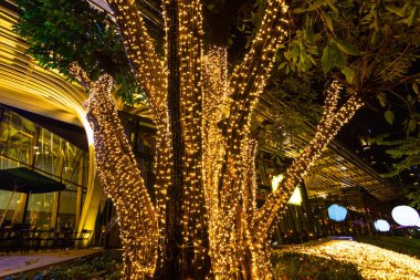 Dekoratif açık dize ışıklar gece zaman festivaller sezon - dekoratif Noel ışıkları - mutlu yıllar, bahçedeki ağaç üzerinde asılı 