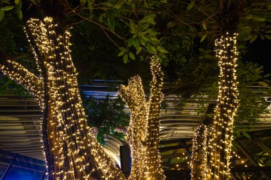 Dekoratif açık dize ışıklar gece zaman festivaller sezon - dekoratif Noel ışıkları - mutlu yıllar, bahçedeki ağaç üzerinde asılı 