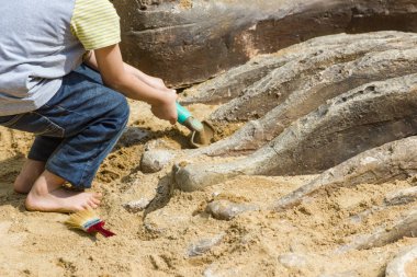 Öğrenme hakkında dinozor fosilleri simülasyon Park Bangkok Thaiand kazı çocuk.
