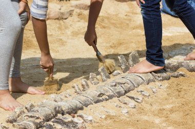 Öğrenme hakkında dinozor fosilleri simülasyon Park Bangkok Thaiand kazı çocuk.