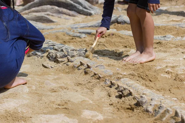 Öğrenme hakkında dinozor fosilleri simülasyon Park Bangkok Thaiand kazı çocuk.