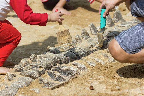 Children learning about, Excavating dinosaur fossils simulation in the park Bangkok Thaiand.