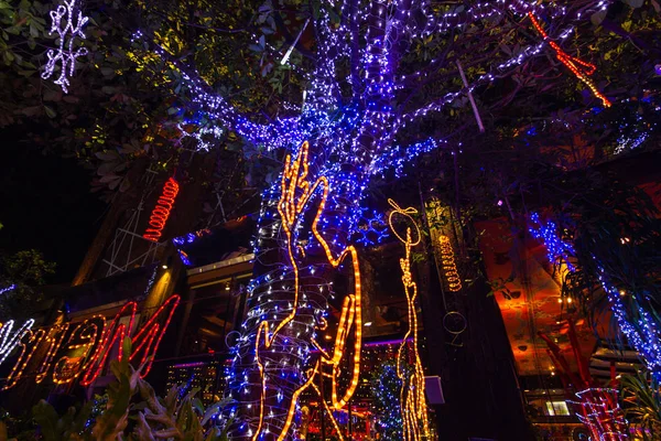 Luzes Decorativas Corda Livre Penduradas Árvore Jardim Noite Luzes Decorativas — Fotografia de Stock