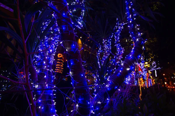 Decorative Luci Stringa All Aperto Appese Sull Albero Giardino Notte — Foto Stock