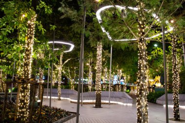 Bulanık görüntü dekoratif açık dize ışıklar gece saat - dekoratif Noel ışıkları - mutlu yeni yıl, bahçedeki ağaç üzerinde asılı 