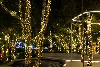 Bulanık görüntü dekoratif açık dize ışıklar gece saat - dekoratif Noel ışıkları - mutlu yeni yıl, bahçedeki ağaç üzerinde asılı 