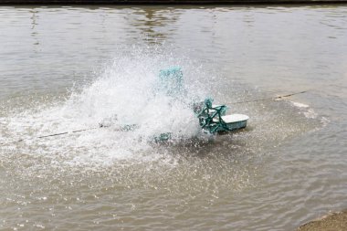 Atık su arıtma makine genel Park Bangkok Tayland.