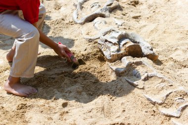 Öğrenme hakkında Dinozor fosilleri simülasyon parkta kazı çocuk.