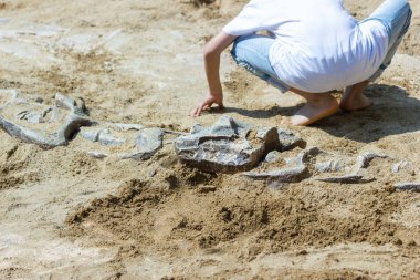 Öğrenme hakkında Dinozor fosilleri simülasyon parkta kazı çocuk.