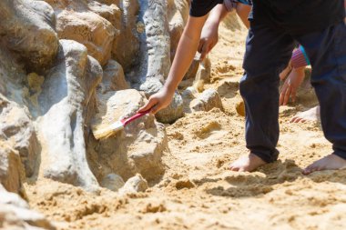 Öğrenme hakkında Dinozor fosilleri simülasyon parkta kazı çocuk. 