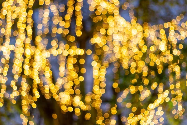 Blur - bokeh - Decorative outdoor string lights hanging on tree in the garden at night time - decorative christmas lights - happy new year
