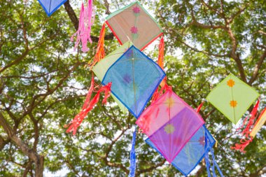 Kağıt uçurtma göstermek için ağaç üzerinde asılı.