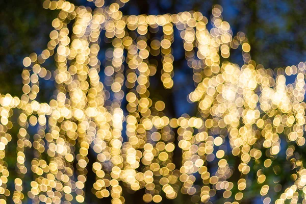 Blurred - Decorative outdoor string lights hanging on a tree in the garden at night time - decorative Christmas lights bokeh