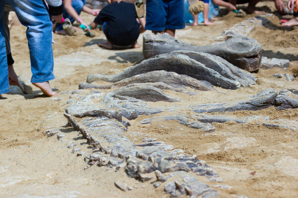 Children learning about, Excavating dinosaur fossils simulation in the park. 