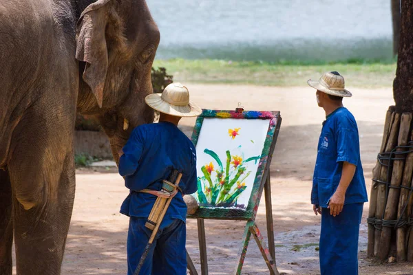 Lampang Tajlandia Kwietnia 2017 Malowanie Słonia Obraz Drzewo Ramki Thai — Zdjęcie stockowe