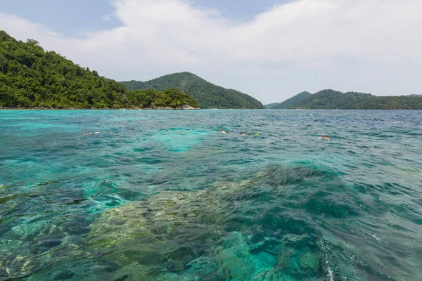 Csoport Turisták Snorkeling Gyönyörű Tenger Vize Zöld Surin Szigetek Turisztikai — Stock Fotó