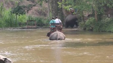 Lampang Tayland 15 Nisan 2016: Tay fil koruma merkezi nehirde yürüyüş fil sürme turizm 