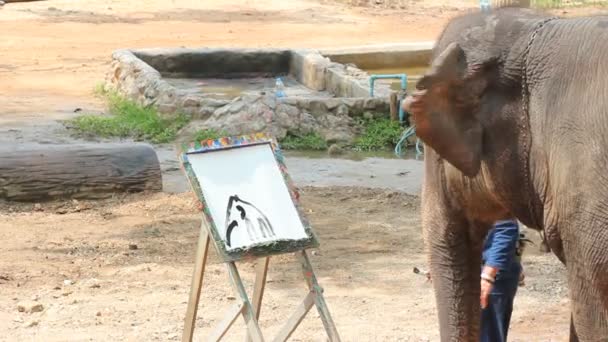 Sloní Show Elephant Malba Obrázek Slona Strom Rám Thajsko Lampang — Stock video