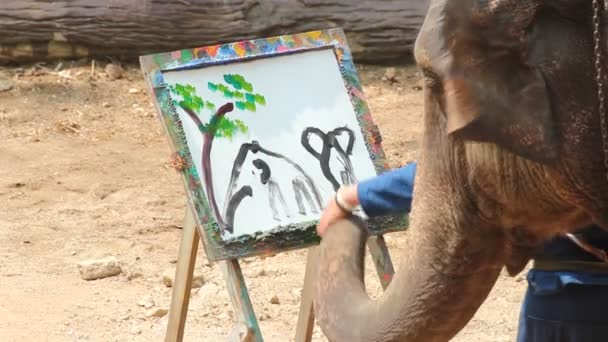 Показати Слона Слон Картина Слон Малюнок Дерево Кадр Таїланді Lampang — стокове відео