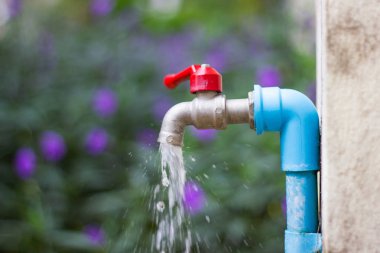 su tasarrufu, azaltmak maliyeti, kuraklık - verimlilik