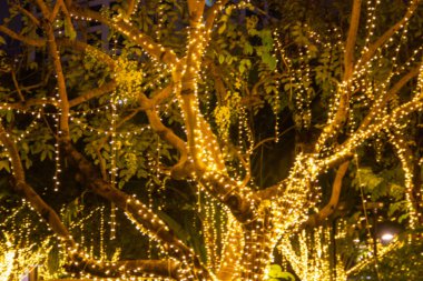 Bulanık görüntü dekoratif açık dize ışıklar gece zaman festivaller sezon - dekoratif Noel ışıkları - mutlu yıllar, bahçedeki ağaç üzerinde asılı 