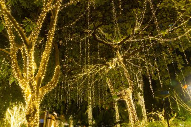 Bulanık dekoratif açık dize ışıklar gece zaman festivaller sezon - dekoratif Noel ışıkları - mutlu yıllar, bahçedeki ağaç üzerinde asılı 
