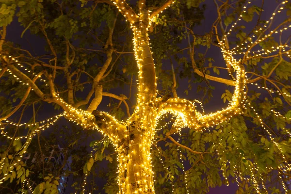 Blurred Decorative outdoor string lights hanging on tree in the garden at night time festivals season - decorative Christmas lights - happy new year