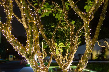 Dekoratif açık dize ışıklar gece zaman festivaller sezon - dekoratif Noel ışıkları - mutlu yıllar, bahçedeki ağaç üzerinde asılı 