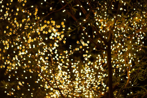 Verschwommenes Bild dekorative Outdoor-Lichterketten hängen am Baum i — Stockfoto