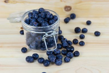 Camtaze organik yoğurt yaban mersini